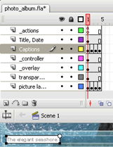 edit photo caption