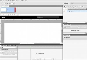 flash-catalyst-workspace