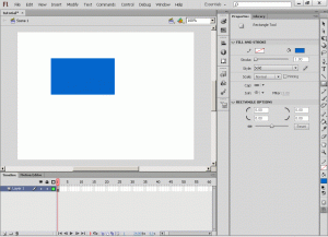 rectangle-scene